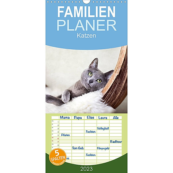 Familienplaner Katzen (Wandkalender 2023 , 21 cm x 45 cm, hoch), Nailia Schwarz