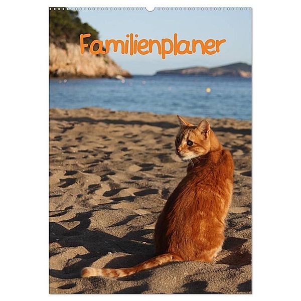 Familienplaner Katzen (Wandkalender 2025 DIN A2 hoch), CALVENDO Monatskalender, Calvendo, Antje Lindert-Rottke