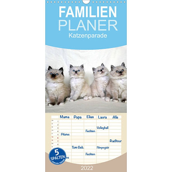 Familienplaner Katzenparade (Wandkalender 2022 , 21 cm x 45 cm, hoch), Jennifer Chrystal