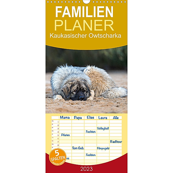 Familienplaner Kaukasischer Owtscharka (Wandkalender 2023 , 21 cm x 45 cm, hoch), Annett Mirsberger