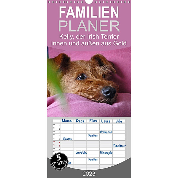 Familienplaner Kelly, der Irish Terrier - innen und außen aus Gold (Wandkalender 2023 , 21 cm x 45 cm, hoch), Claudia Schimon
