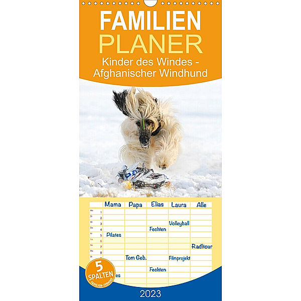 Familienplaner Kinder des Windes - Afghanischer Windhund (Wandkalender 2023 , 21 cm x 45 cm, hoch), Sigrid Starick