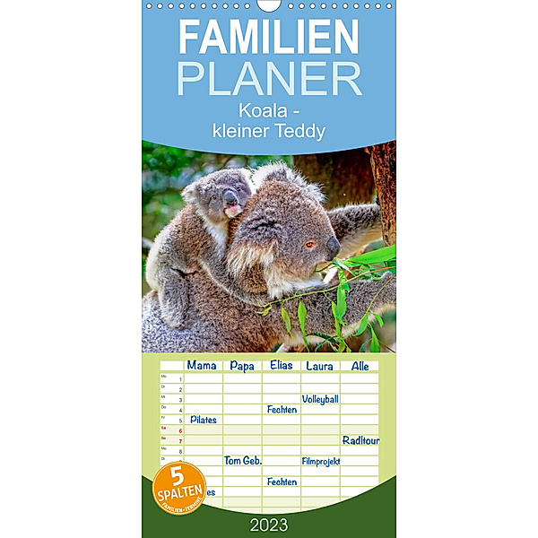 Familienplaner Koala - kleiner Teddy (Wandkalender 2023 , 21 cm x 45 cm, hoch), Peter Roder