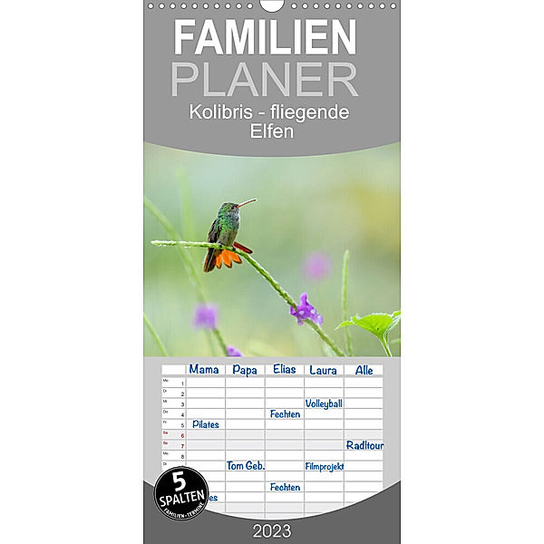 Familienplaner Kolibris - fliegende Elfen (Wandkalender 2023 , 21 cm x 45 cm, hoch), Falko Düsterhöft