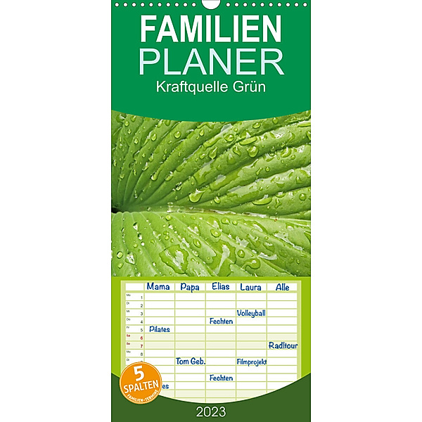 Familienplaner Kraftquelle Grün (Wandkalender 2023 , 21 cm x 45 cm, hoch), Ilona Andersen