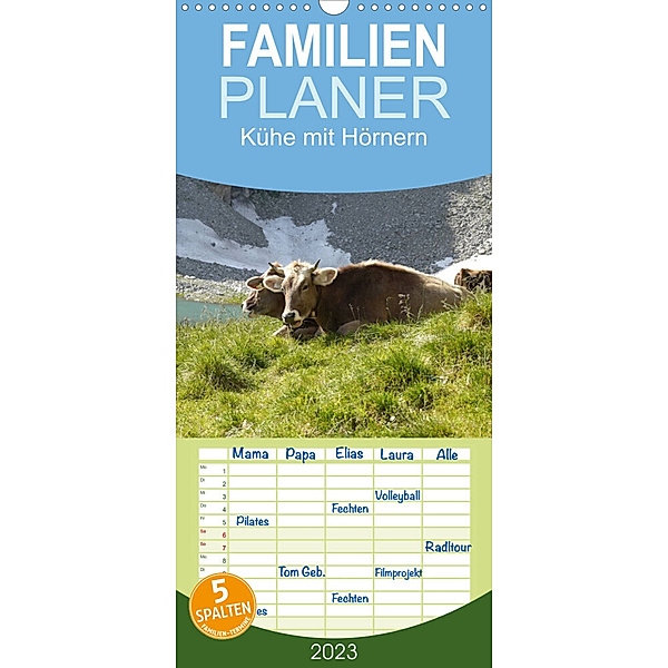 Familienplaner Kühe mit Hörnern (Wandkalender 2023 , 21 cm x 45 cm, hoch), Stefanie Goldscheider