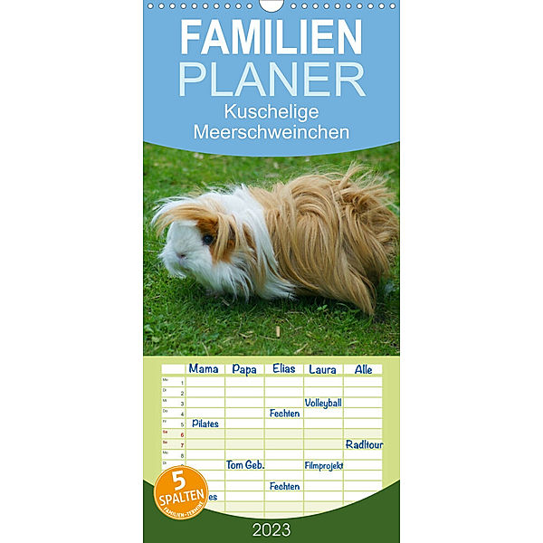 Familienplaner Kuschelige Meerschweinchen (Wandkalender 2023 , 21 cm x 45 cm, hoch), Kattobello