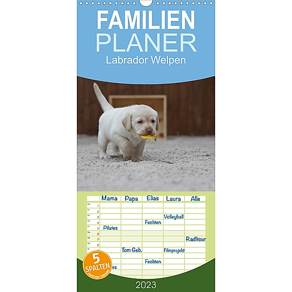 Familienplaner Labrador Welpen (Wandkalender 2023 , 21 cm x 45 cm, hoch), Heidi Bollich