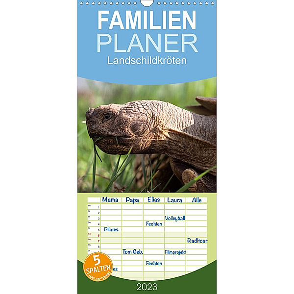 Familienplaner Landschildkröten (Wandkalender 2023 , 21 cm x 45 cm, hoch), Marion Sixt