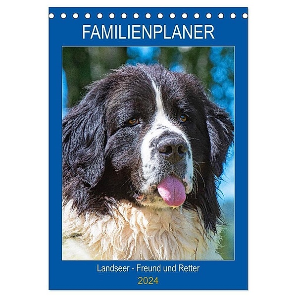 Familienplaner Landseer - Freund und Retter (Tischkalender 2024 DIN A5 hoch), CALVENDO Monatskalender, Sigrid Starick