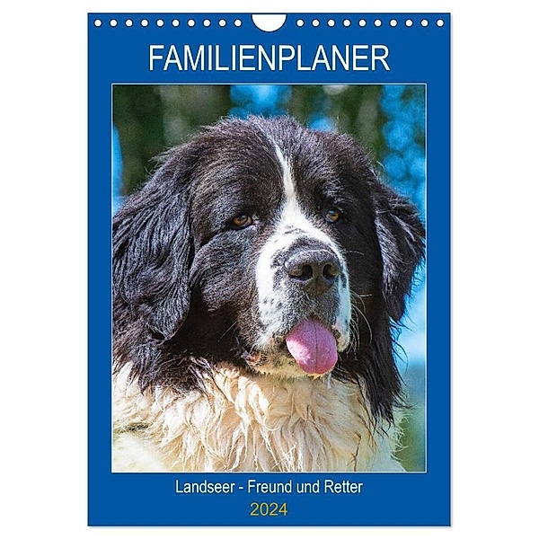Familienplaner Landseer - Freund und Retter (Wandkalender 2024 DIN A4 hoch), CALVENDO Monatskalender, Sigrid Starick