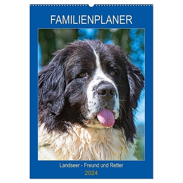 Familienplaner Landseer - Freund und Retter (Wandkalender 2024 DIN A2 hoch), CALVENDO Monatskalender, Sigrid Starick