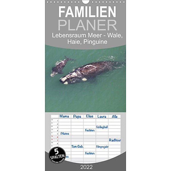 Familienplaner Lebensraum Meer - Wale, Haie, Pinguine (Wandkalender 2022 , 21 cm x 45 cm, hoch), Michael und Yvonne Herzog