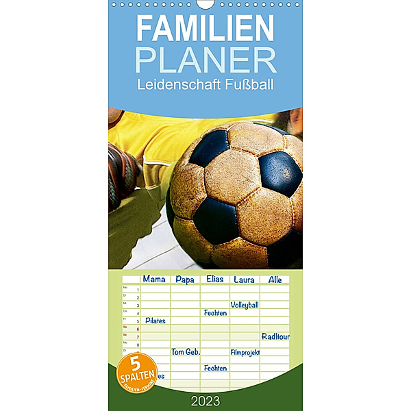 Familienplaner Leidenschaft Fussball (Wandkalender 2023 , 21 cm x 45 cm, hoch), Renate Bleicher