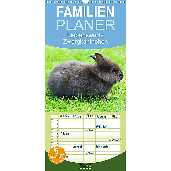 Familienplaner Liebenswerte Zwergkaninchen (Wandkalender 2023 , 21 cm x 45 cm, hoch), Kattobello