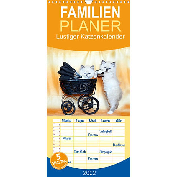 Familienplaner Lustiger Katzenkalender (Wandkalender 2022 , 21 cm x 45 cm, hoch), Jennifer Chrystal