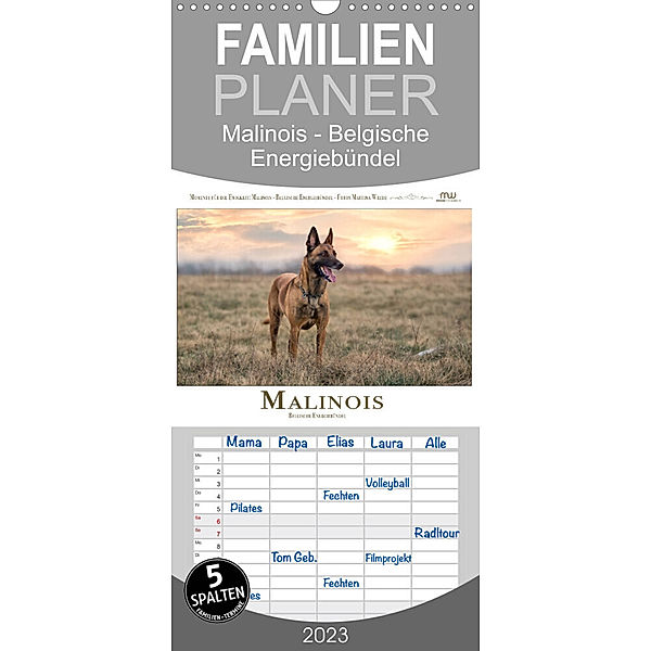 Familienplaner Malinois - Belgische Energiebündel (Wandkalender 2023 , 21 cm x 45 cm, hoch), Martina Wrede