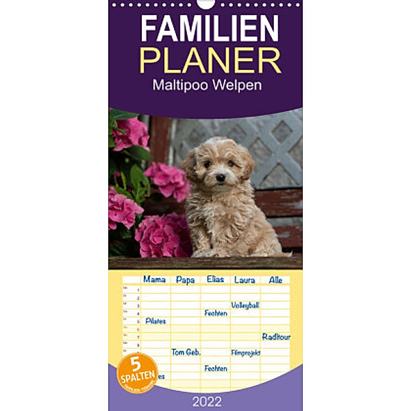 Familienplaner Maltipoo Welpen (Wandkalender 2022 , 21 cm x 45 cm, hoch), Tanja Schultz