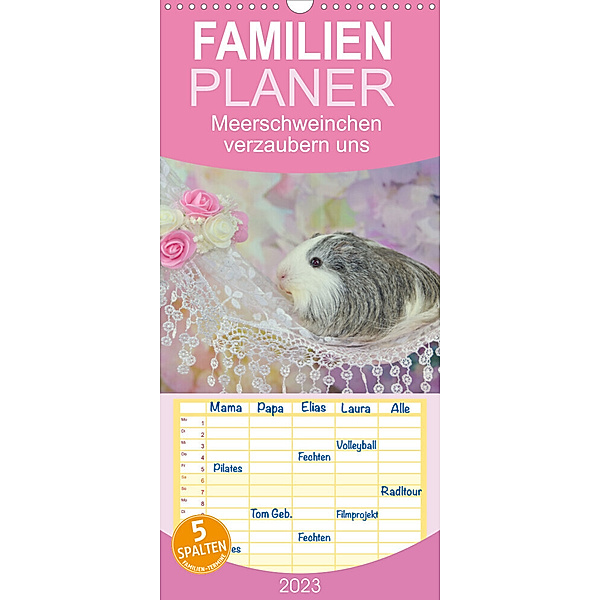 Familienplaner MEERSCHWEINCHEN verzaubern uns (Wandkalender 2023 , 21 cm x 45 cm, hoch), Sabine Hampe-Neves