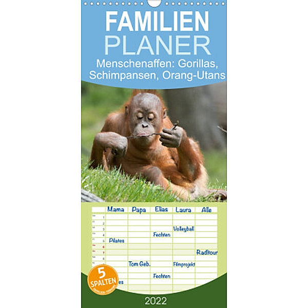 Familienplaner Menschenaffen. Gorillas, Schimpansen, Orang-Utans (Wandkalender 2022 , 21 cm x 45 cm, hoch), Elisabeth Stanzer