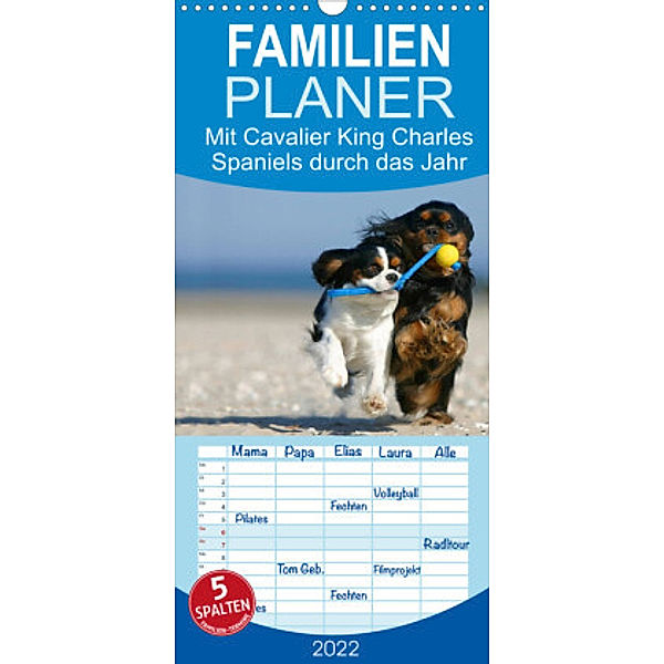 Familienplaner Mit Cavalier King Charles Spaniels durch das Jahr (Wandkalender 2022 , 21 cm x 45 cm, hoch), Petra Wegner