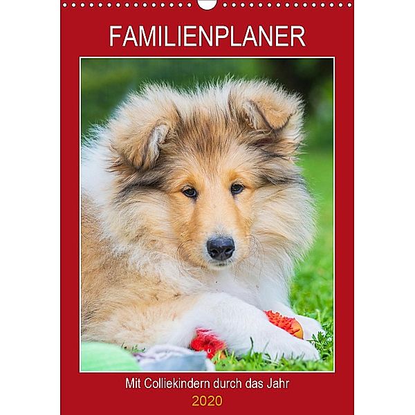 Familienplaner - Mit Colliekindern durch das Jahr (Wandkalender 2020 DIN A3 hoch), Sigrid Starick