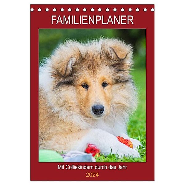 Familienplaner - Mit Colliekindern durch das Jahr (Tischkalender 2024 DIN A5 hoch), CALVENDO Monatskalender, Sigrid Starick