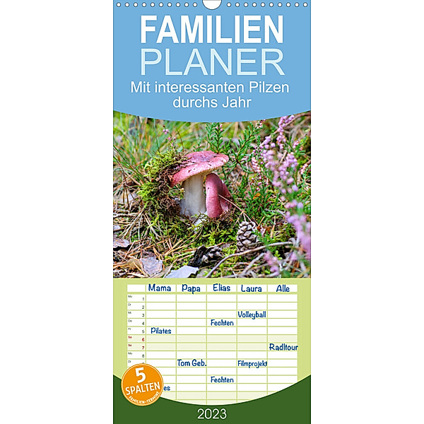 Familienplaner Mit interessanten Pilzen durchs Jahr (Wandkalender 2023 , 21 cm x 45 cm, hoch), LianeM
