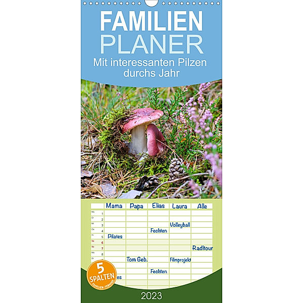 Familienplaner Mit interessanten Pilzen durchs Jahr (Wandkalender 2023 , 21 cm x 45 cm, hoch), LianeM