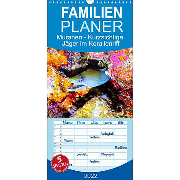 Familienplaner Muränen - Kurzsichtige Jäger im Korallenriff (Wandkalender 2022 , 21 cm x 45 cm, hoch), Andrea Heß