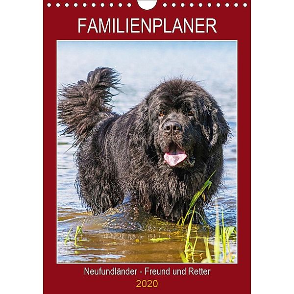Familienplaner Neufundländer - Freund und Retter (Wandkalender 2020 DIN A4 hoch), Sigrid Starick