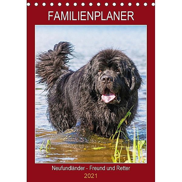 Familienplaner Neufundländer - Freund und Retter (Tischkalender 2021 DIN A5 hoch), Sigrid Starick