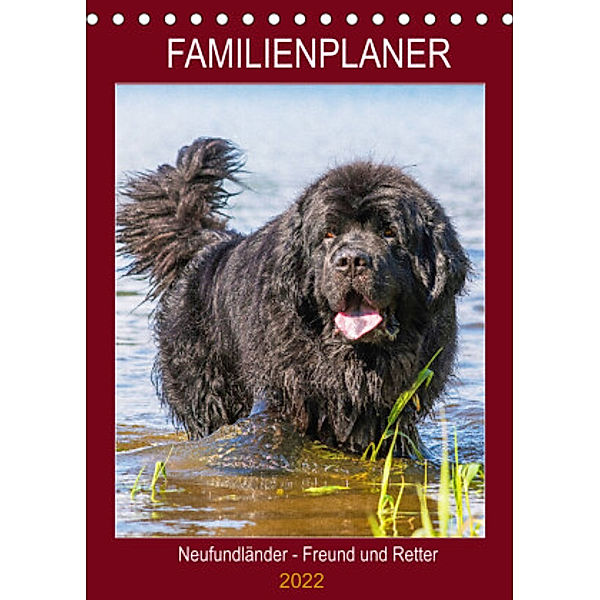 Familienplaner Neufundländer - Freund und Retter (Tischkalender 2022 DIN A5 hoch), Sigrid Starick