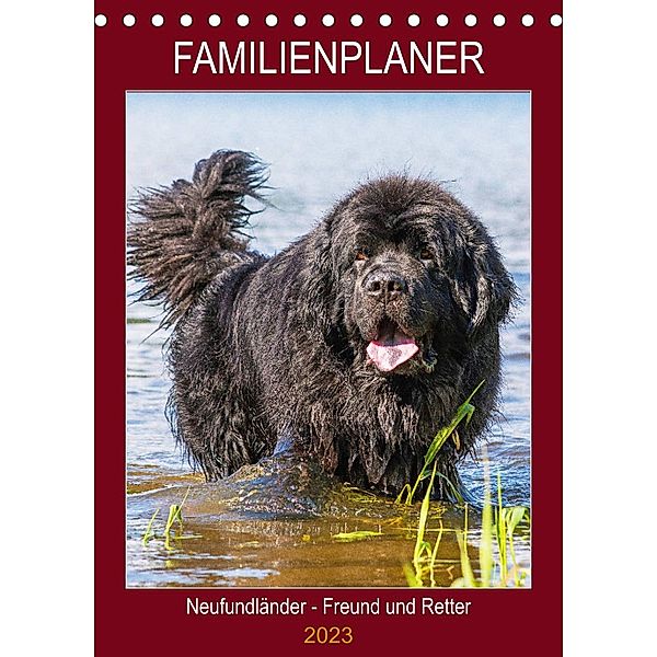 Familienplaner Neufundländer - Freund und Retter (Tischkalender 2023 DIN A5 hoch), Sigrid Starick