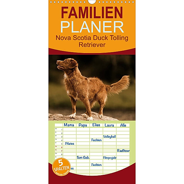 Familienplaner Nova Scotia Duck Tolling Retriever (Wandkalender 2023 , 21 cm x 45 cm, hoch), Beatrice Müller Hundefotowerk