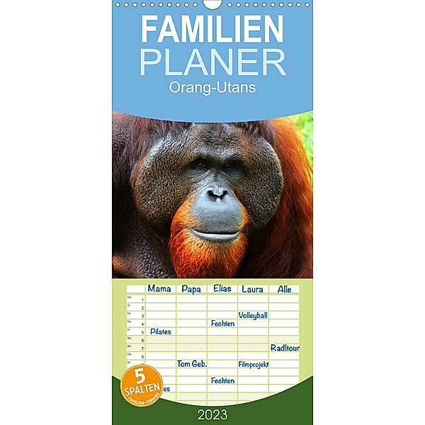 Familienplaner Orang-Utans (Wandkalender 2023 , 21 cm x 45 cm, hoch), Elisabeth Stanzer