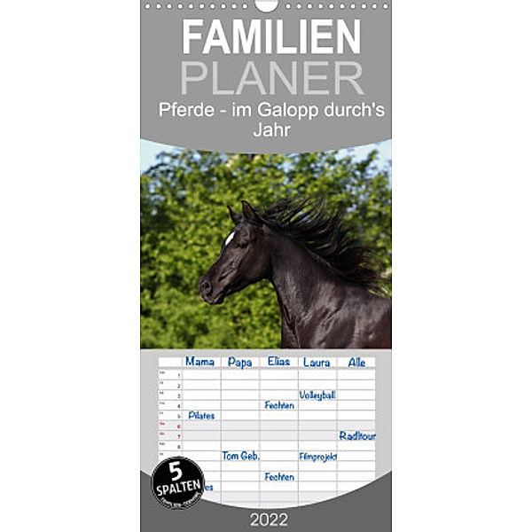 Familienplaner Pferde - im Galopp durch's Jahr (Wandkalender 2022 , 21 cm x 45 cm, hoch), Jeanette Hutfluss