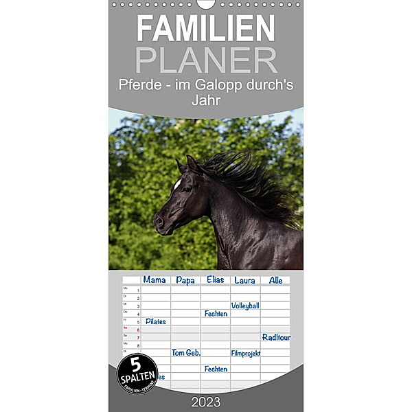 Familienplaner Pferde - im Galopp durch's Jahr (Wandkalender 2023 , 21 cm x 45 cm, hoch), Jeanette Hutfluss