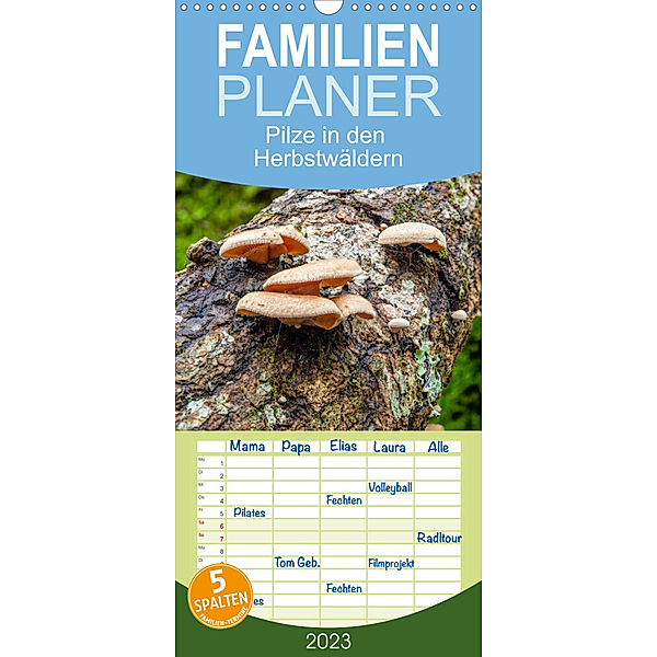 Familienplaner Pilze in den Herbstwäldern (Wandkalender 2023 , 21 cm x 45 cm, hoch), Alain Gaymard