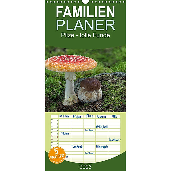 Familienplaner Pilze - tolle Funde (Wandkalender 2023 , 21 cm x 45 cm, hoch), Rudolf Bindig