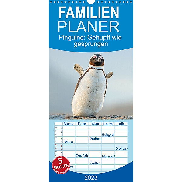 Familienplaner Pinguine: Gehupft wie gesprungen (Wandkalender 2023 , 21 cm x 45 cm, hoch), Calvendo