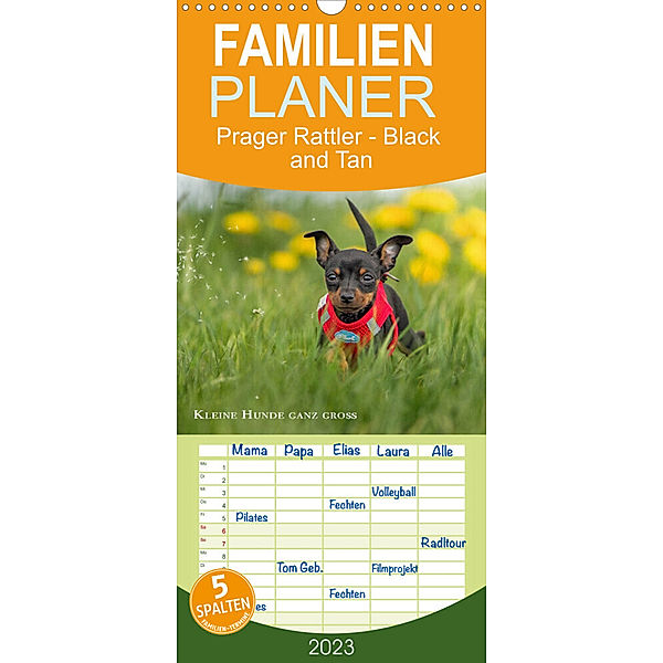 Familienplaner Prager Rattler - Black and Tan - Kleine Hunde ganz gross (Wandkalender 2023 , 21 cm x 45 cm, hoch), Julo - Seelenbilder