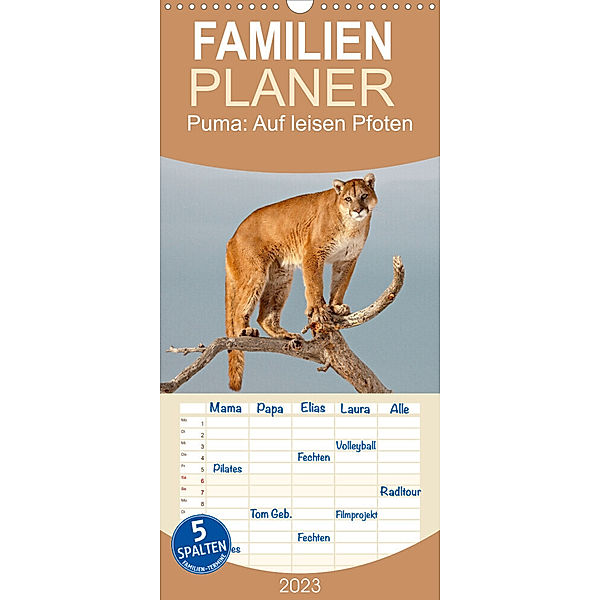 Familienplaner Puma: Auf leisen Pfoten (Wandkalender 2023 , 21 cm x 45 cm, hoch), Calvendo