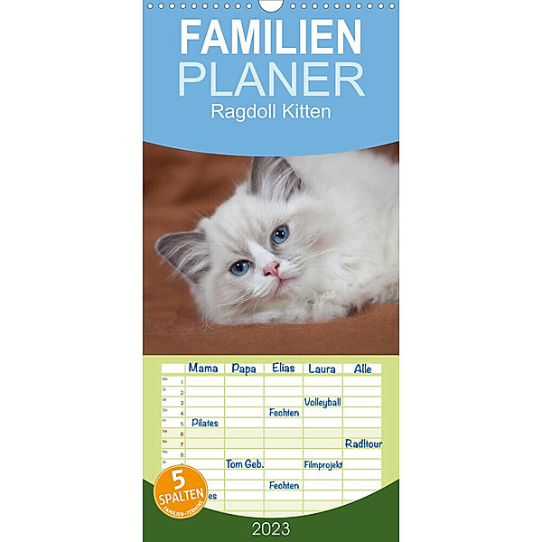 Familienplaner Ragdoll Kitten (Wandkalender 2023 , 21 cm x 45 cm, hoch), Fotodesign Verena Scholze