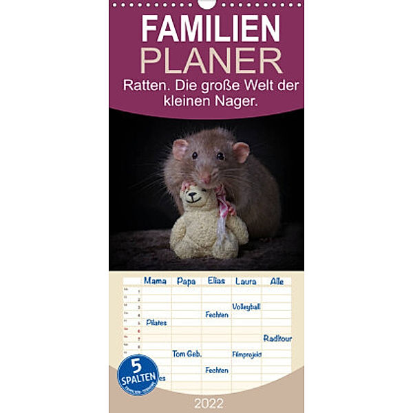 Familienplaner Ratten. Die große Welt der kleinen Nager (Wandkalender 2022 , 21 cm x 45 cm, hoch), Thorsten Nilson