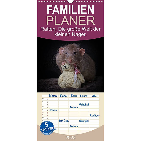 Familienplaner Ratten. Die große Welt der kleinen Nager (Wandkalender 2023 , 21 cm x 45 cm, hoch), Thorsten Nilson