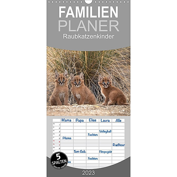 Familienplaner Raubkatzenkinder (Wandkalender 2023 , 21 cm x 45 cm, hoch), Marion Vollborn