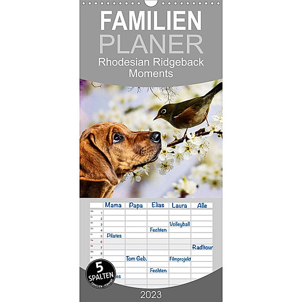 Familienplaner Rhodesian Ridgeback - Moments (Wandkalender 2023 , 21 cm x 45 cm, hoch), Dagmar Behrens