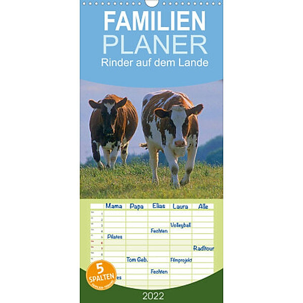 Familienplaner Rinder auf dem Lande (Wandkalender 2022 , 21 cm x 45 cm, hoch), Bildagentur Geduldig