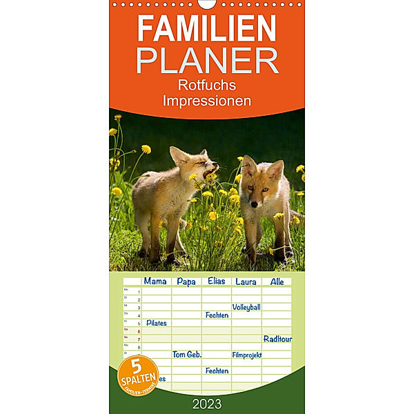 Familienplaner Rotfuchs - Impressionen (Wandkalender 2023 , 21 cm x 45 cm, hoch), Susanne Danegger